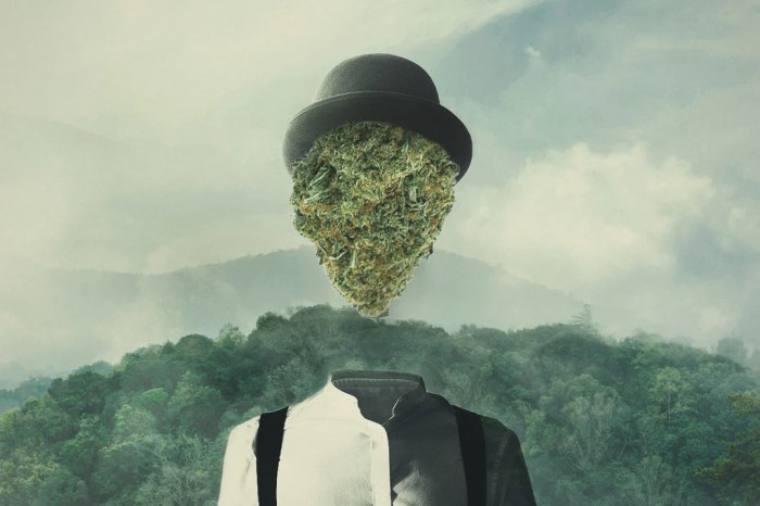Cannabis effecten: Waarom Je High Wordt Van Wiet - RQS Blog High-end battery
