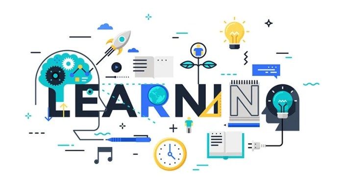 What is Learning? Learning management systems