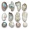 Pearl necklaces