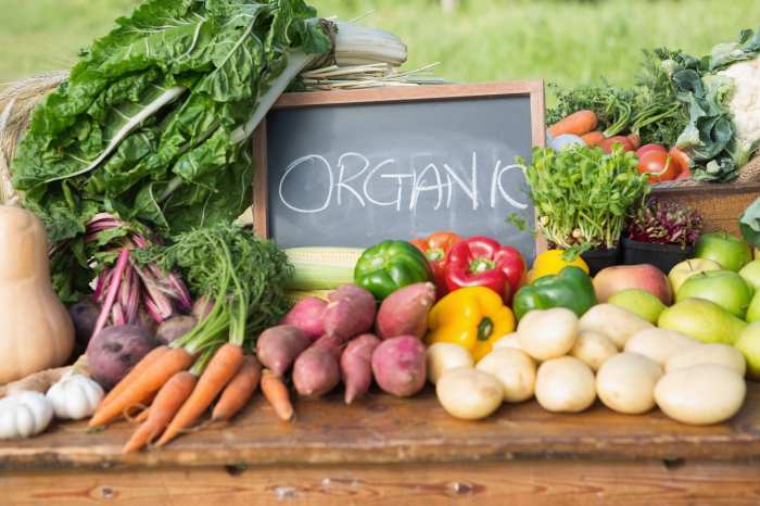 Organic Vegetable Gardens Organic asymmetrical diamond design