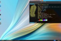 Linux vs Windows comparison