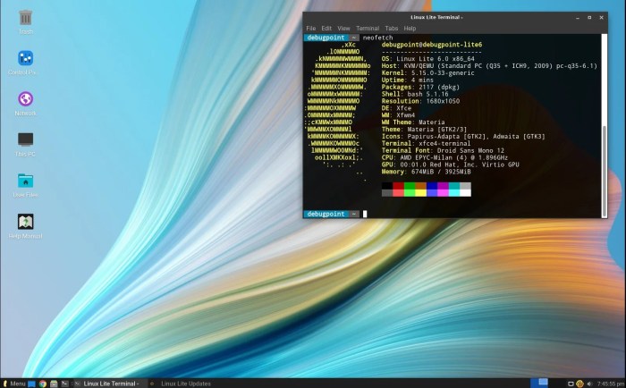 10 Best Linux Distributions for Xfce Desktop Linux vs Windows comparison
