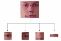 Face recognition specs