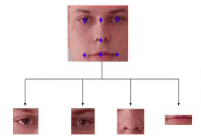 Face Recognition for Beginners - Nearly Everything You Need to Know Face recognition specs