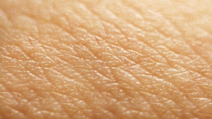 Skin care products list