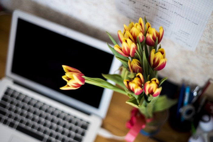 Portable Computer And Tulips Free Stock Photo - Public Domain Pictures Portable tablet