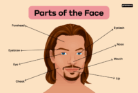 Face masks skin care