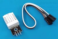Sensor