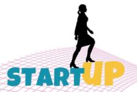 Startup accelerators