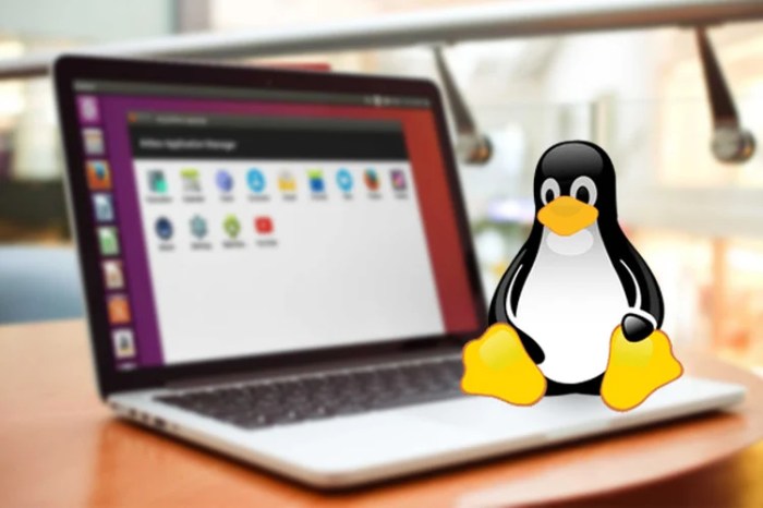 What is Linux? - GreenCloud - Affordable KVM and Windows VPS Linux vs Windows comparison